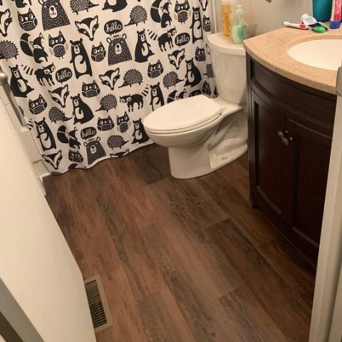 robinson_pa_bathroom_wood_flooring_remodel_before